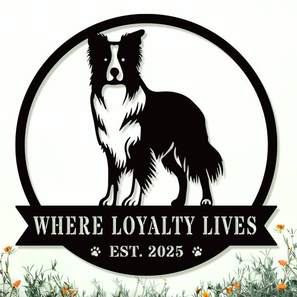 Custom Border Collie dog metal sign with "Where Loyalty Lives" and "Est. 2025" text in black powder-coated steel