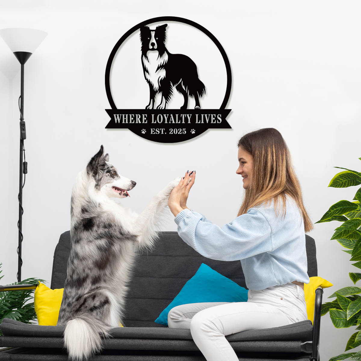 Custom Border Collie dog metal sign with "Where Loyalty Lives" and "Est. 2025" text in black powder-coated steel
