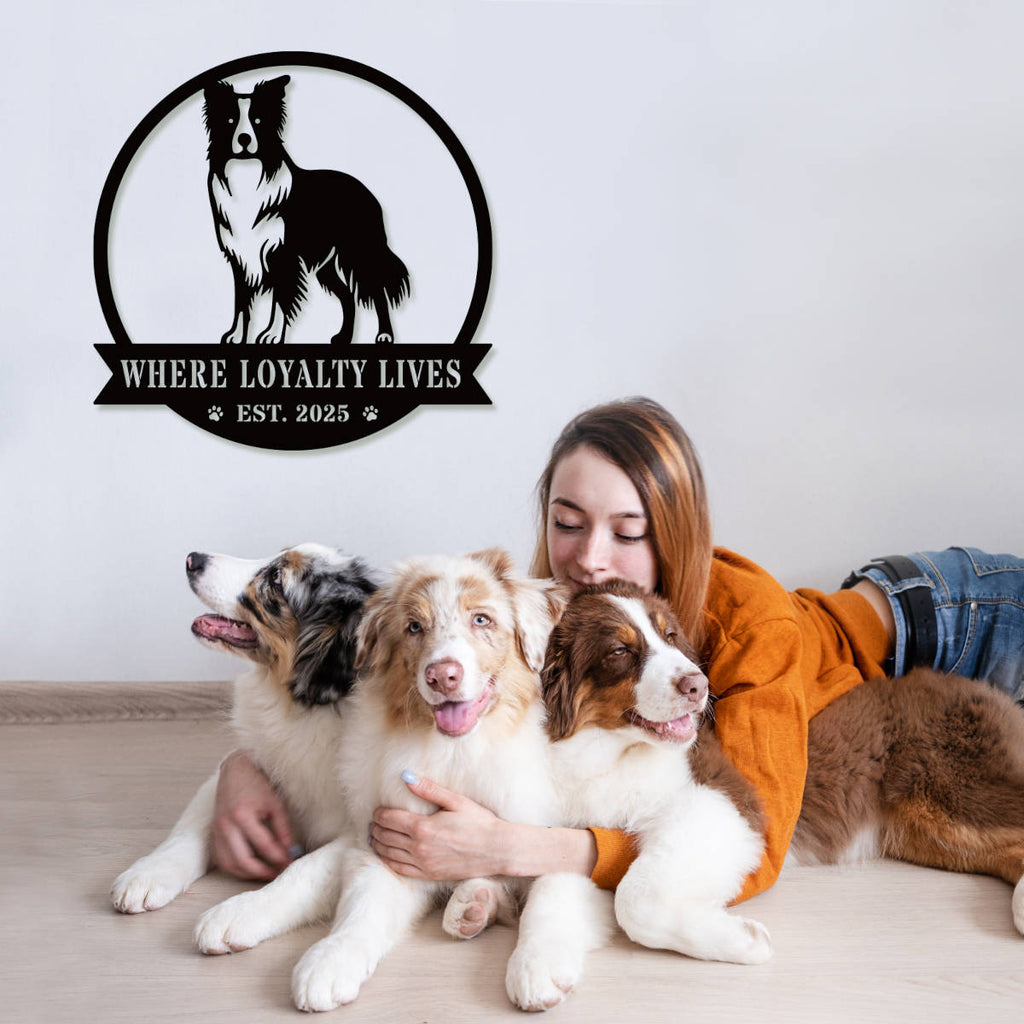Custom Border Collie dog metal sign with "Where Loyalty Lives" and "Est. 2025" text in black powder-coated steel