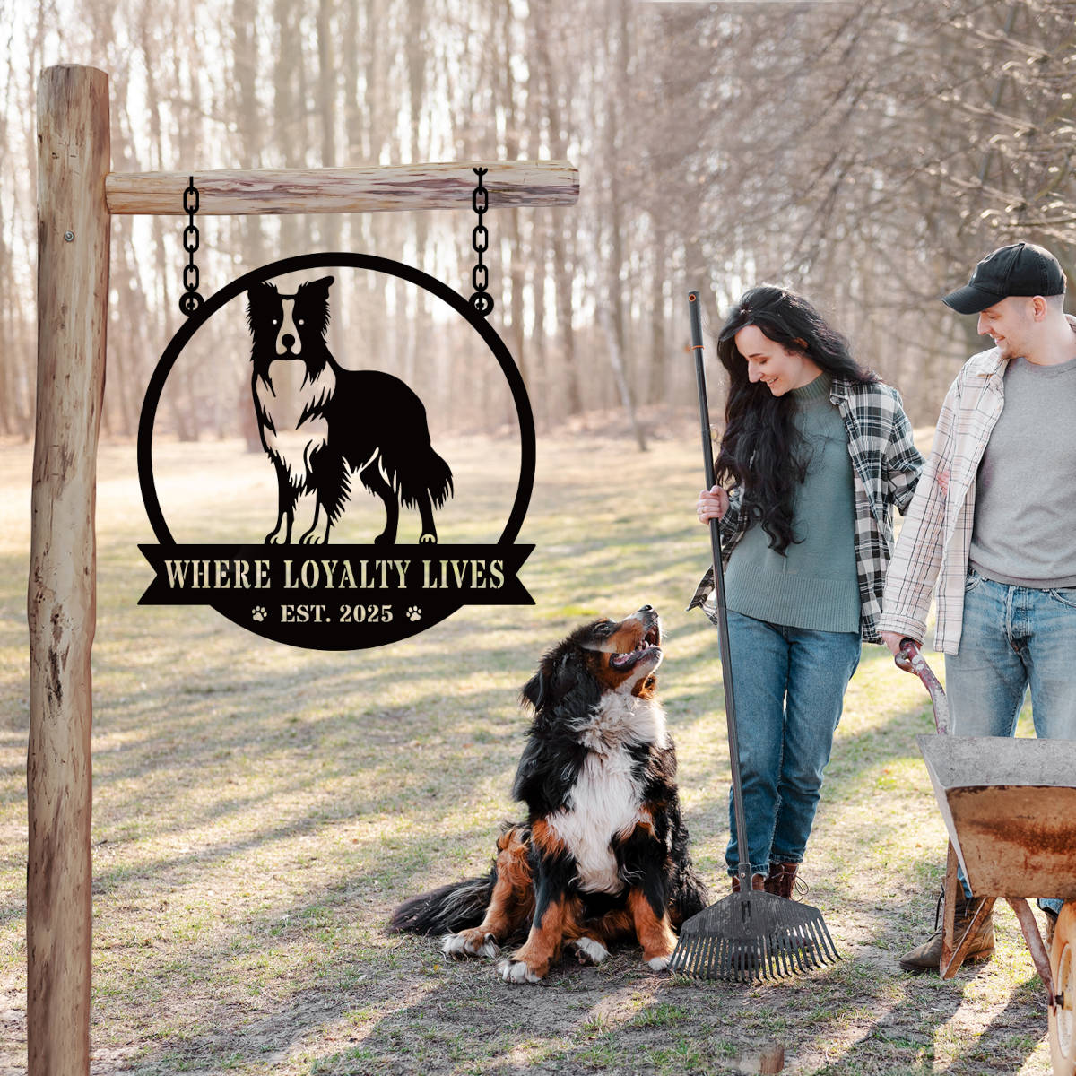 Custom Border Collie dog metal sign with "Where Loyalty Lives" and "Est. 2025" text in black powder-coated steel