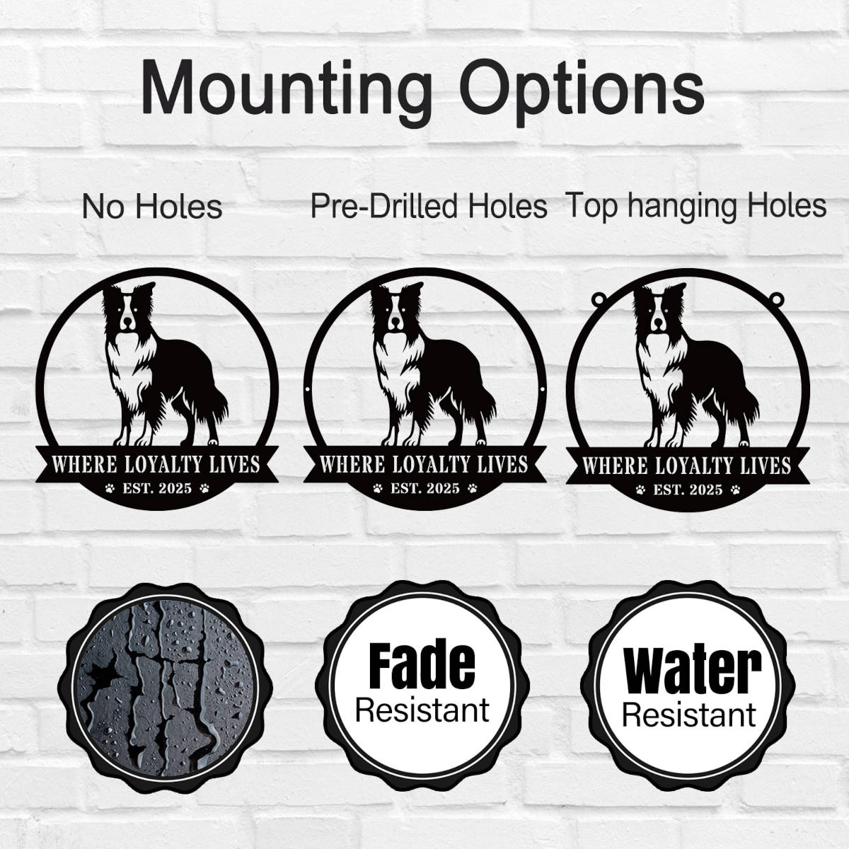 Custom Border Collie dog metal sign with "Where Loyalty Lives" and "Est. 2025" text in black powder-coated steel