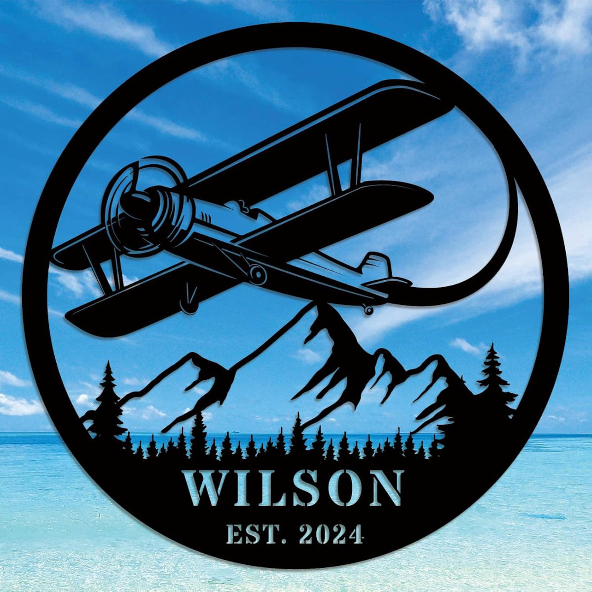 Custom Airplane Metal Sign Main image