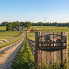 Custom metal farm sign with barn, animals, windmill silhouette. Personalizable name and tagline 'WHERE DREAMS TAKE ROOT'. Pre-drilled holes.